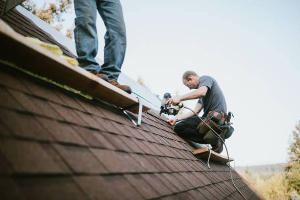Best Metal Roofing Contractor  in Cherry Valley, IL