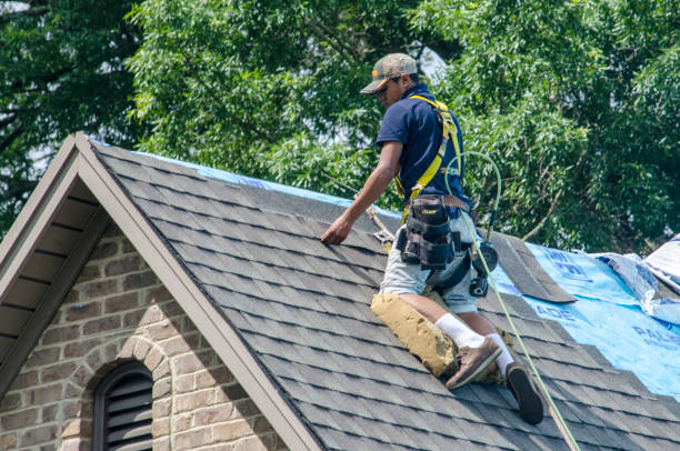 Best New Roof Installation  in Cherry Valley, IL